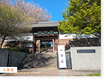 入学式写真